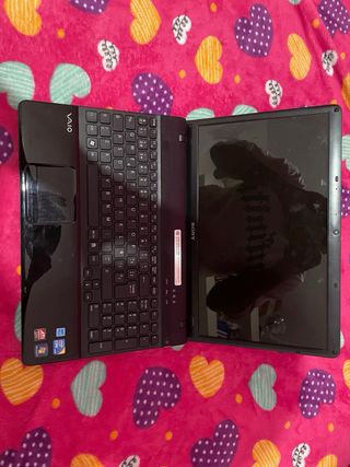 Sony Vaio PCG-71212M Ordenador Portátil