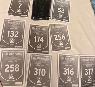 Cromos Panini Asobal 25/26