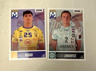 Cromos Panini Asobal 25/26