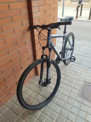 Bicicleta de montaña gris