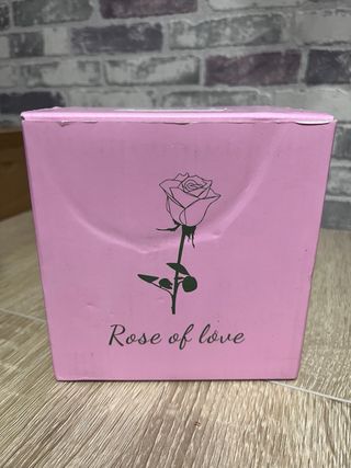 Joyero Rosa Preservada y Colgante Corazón