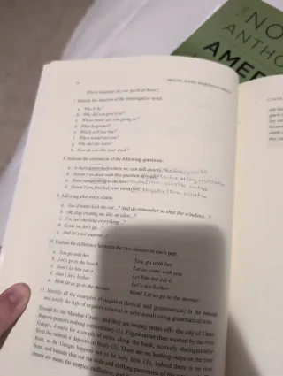 English grammar in focus: text-linguistics