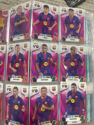 Panini Adrenalyn XL 25-26