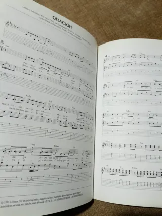 Libro Heroes del silencio .