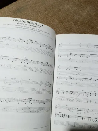 Libro Heroes del silencio .