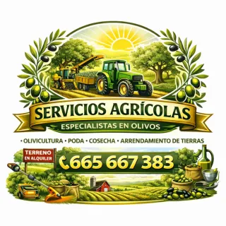 Servicios Agrícolas Especialistas en Olivos