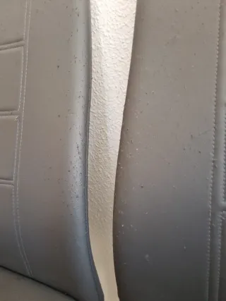 Juego de 2 sillas de comedor