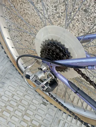 Bicicleta Orbea Sherpa 26