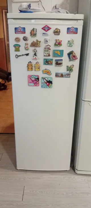 Frigorífico blanco