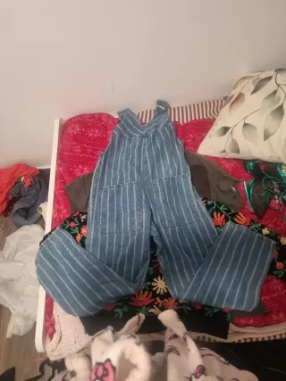 Lote zara 20 prendas(precio negociable)