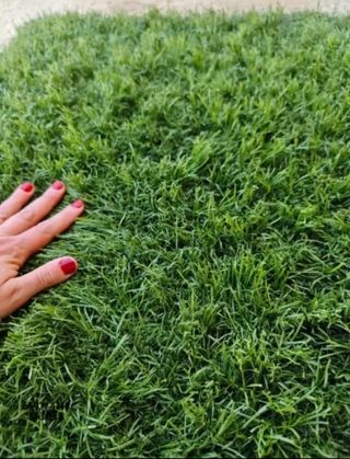 Césped artificial reciclado