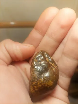 Meteorito Condrita 48g