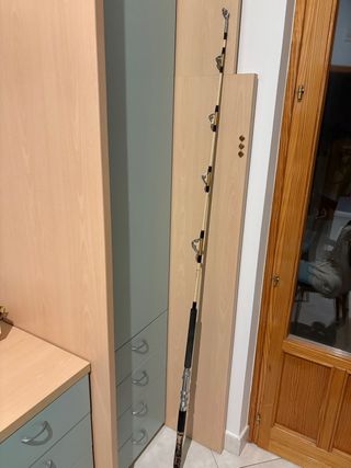 Mulinello Traina PENN Commander 30 LW