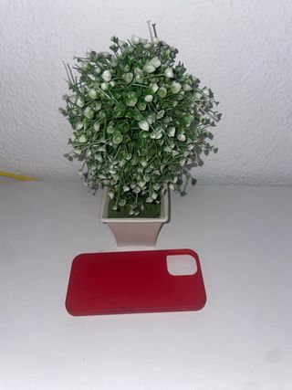 Funda iPhone 12 Roja