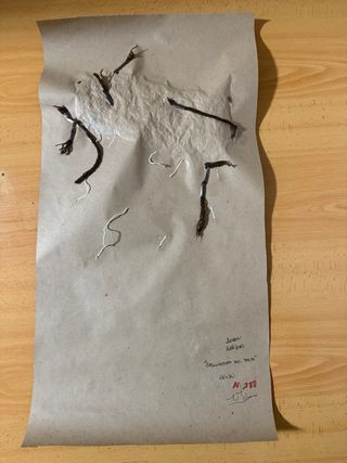 Lámina papel kraft figura relieve texturas. 30x24