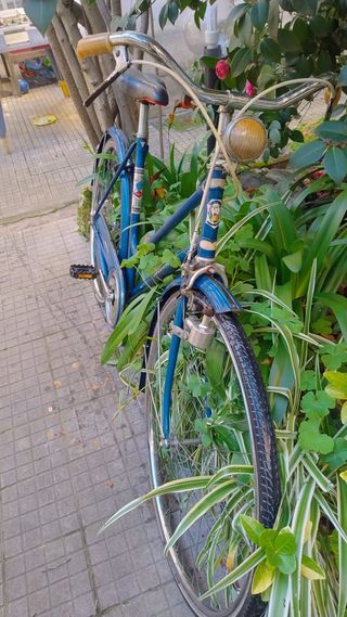 Bicicletta d'epoca da donna