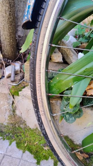 Bicicletta d'epoca da donna