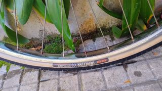 Bicicletta d'epoca da donna