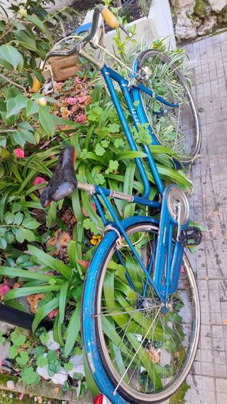 Bicicletta d'epoca da donna
