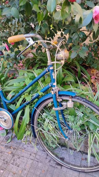 Bicicletta d'epoca da donna