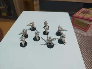 Guardia Imperial Karskin