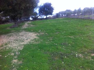 Terreno rustico de 3000m2