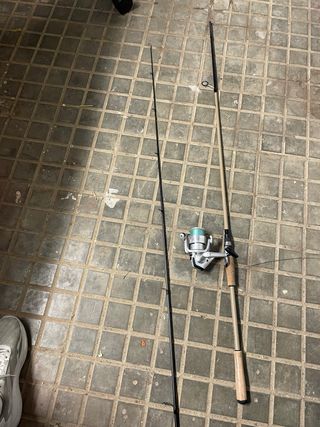 Caña de pescar Carperlan