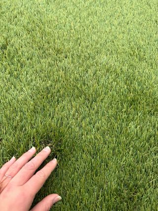 2 Rollos de césped artificial para exterior. 15m2