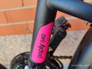 Bicicleta Niña 24" Paseo