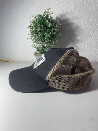 Gorra Tiburón A Shark Tale