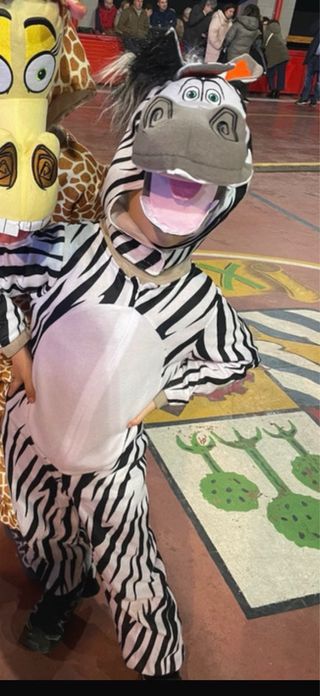 Disfraz de Zebra Madagascar para niño
