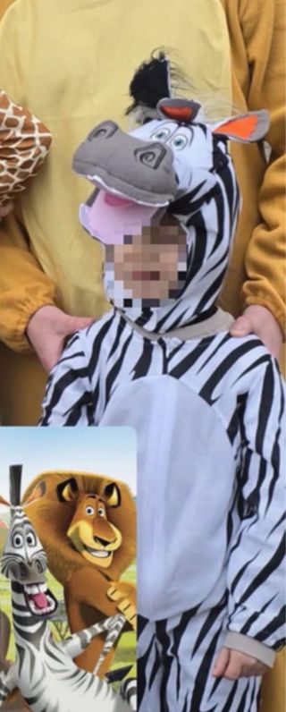 Disfraz de Zebra Madagascar para niño