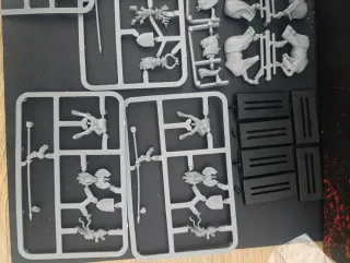 Warhammer Caballeros Bretonia 5ª Edición