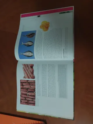 Libro cocina