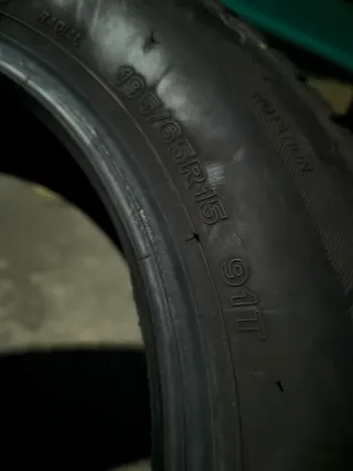 Neumáticos de nieve Dayton DW510 195/65/R15