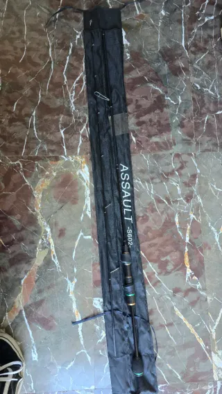 Caña de pescar ASSAULT S602