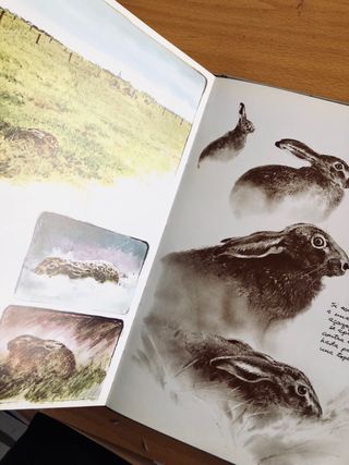 EL BOSQUE VIVO de RIEN POORTVLIET