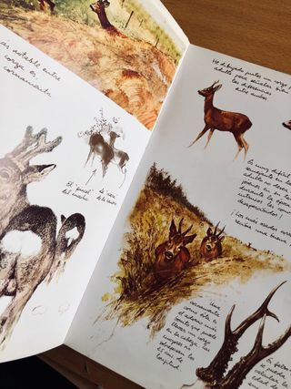 EL BOSQUE VIVO de RIEN POORTVLIET