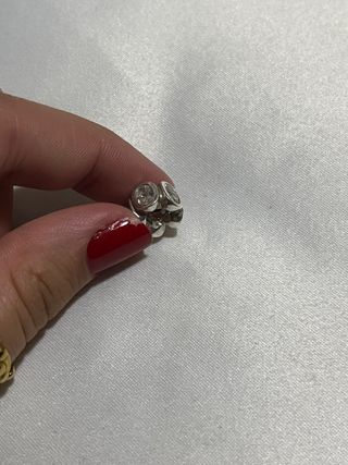 Pandora Charm Plata Circonitas