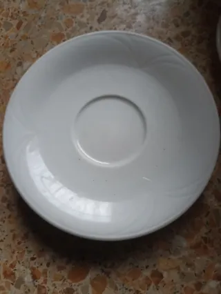 Platos de café con leche,y postre 6