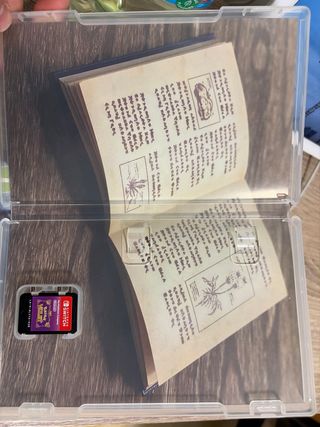 Pokemon Purpura Nintendo Switch