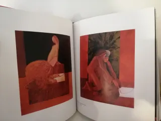 Rogério Ribeiro uma monografia