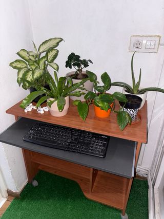 Scrivania in legno con ruote