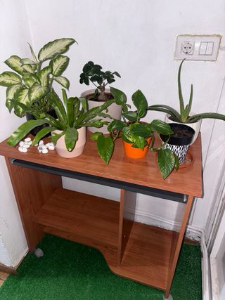 Scrivania in legno con ruote