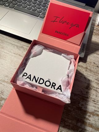 Collar Pandora Corazón Infinito Plata