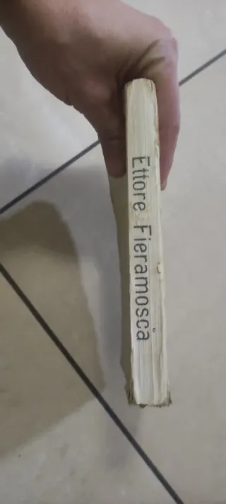 Ettore Fieramosca e la disfida di barletta