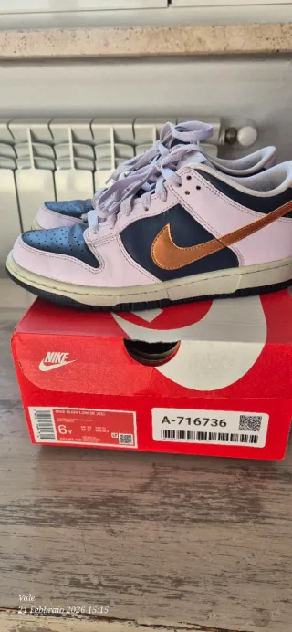 Nike Dunk Low SE (GS) 38.5 Lilla Bronzo Blu