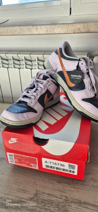 Nike Dunk Low SE (GS) 38.5 Lilla Bronzo Blu
