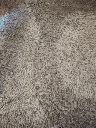 Alfombra Grande Gris 290x200cm