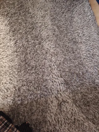 Alfombra Grande Gris 290x200cm